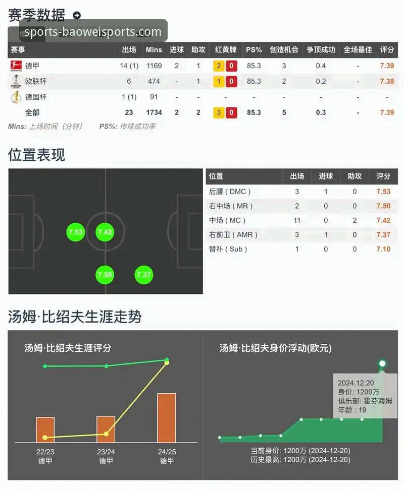3个关键视角：从帕尼切利重伤事件，深度评测宝威体育平台的赛事信息整合能力